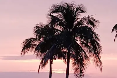 Image de Florida Pine Island Paradise Get-Away in Bokeelia