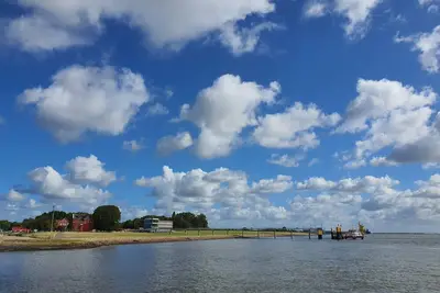 Image de Delphin (1-6 Personen)