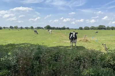 Image de Vacation apartment \"Zur Kuhweide\"