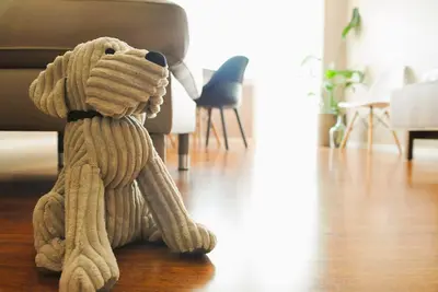 Image de Central Apartment near Casa da Música