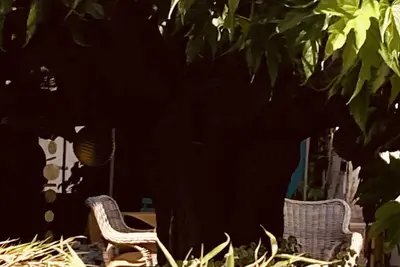 Image de Havre de paix dans une agréable maison de village