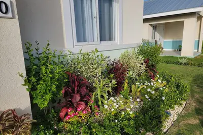 Image de Serenity: 2 Bedrooms & 1 Bathroom, Ocean Pointe (Entire Home)