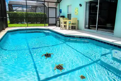 Image de Peaceful Lake Berkley 4 Bedroom Villa with Private Salt Pool & Arcade Room