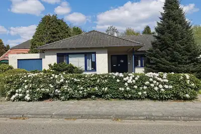 Image de House Kenzo 65348 - House Kenzo, 65348