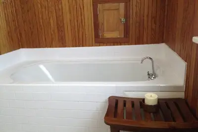 Image de Cozy Linden Hills home near Lake Harriet