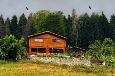 Image de . . . . . . . . . .