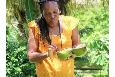 Image de Rainbow Hill Villa - Cottage