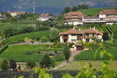 Image de Vacation apartment wine