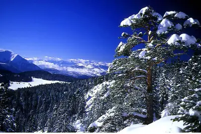 Image de Bel appartement 3* plein sud à Chamrousse, avec terrasse et animaux acceptés