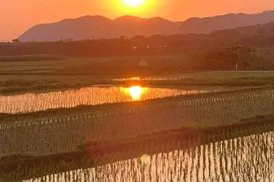 Image de New tatami mats in the living room and bedroom / Tateyama Chiba