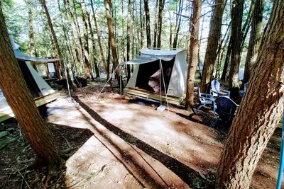 Image de Glamping, family fun, pet friendly