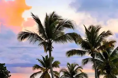 Image de Bienvenue dans notre appartement situé en front de mer : la Perle des Caraïbes
