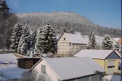 Cozy half-timbered house in the low mountain range of Hesse Thuringia