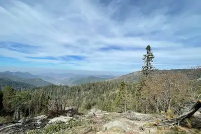 Image de Enjoyable apartment with fitness room in vibrant Miami