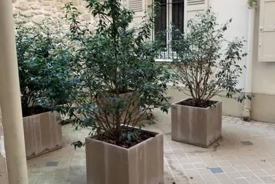 Image de Apartment in Paris -  Charles de Gaulle -  Etoile