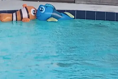 Image de Clearwater Vacation Paradise Home Pool & Hot Tub, Outside Bar- Tv, Pets welcome