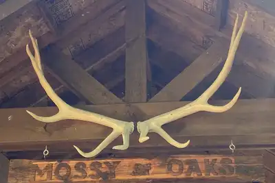 Image de Compfy Cabin