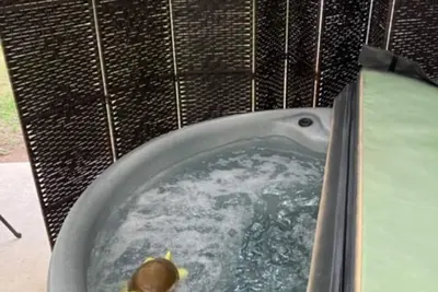 Image de 2-Bedroom Sweet Retreat in Lexington