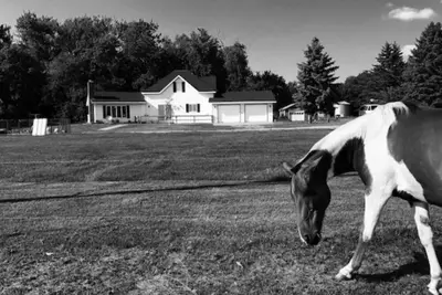 Image de Beautiful Farmstead on the Prairie