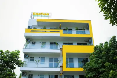 Image de Lime Tree Luxury Studio
