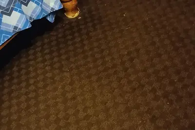 Image de Arabian mountain frontview