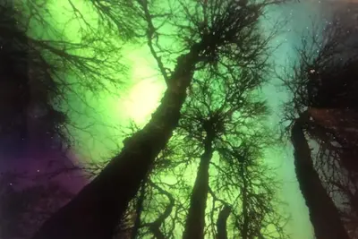 Image de Getaway Home bordering beautiful Capt. Cook Park recreation area!