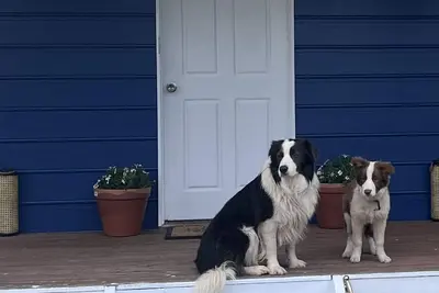 Image de Cosy Pet Friendly Beach Cottage