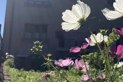 Image de A green setting in the heart of a region rich in industrial heritage