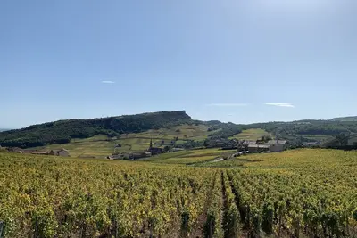 Image de Maison de caractère avec vue entouré de vignobles