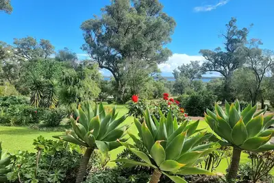 Image de Estuary water views 4bedroom 2 Bathroom  home with pool Australind / Bunbury Wa