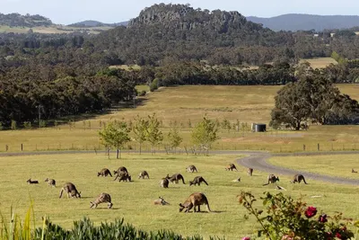 Image de Hanging Rock Views, King Suite in luxury B&B