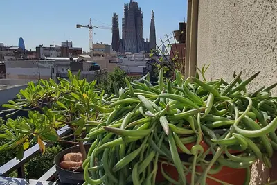 Image de Cozy appartment & Sky view Sagrada Familia