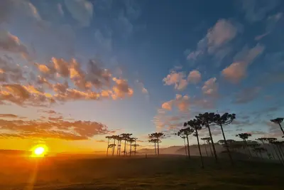 Image de Brumas Country House - 8km from Fortaleza Canyon (A)