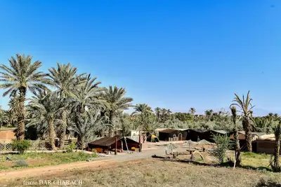 Image de Ferme Dar Charach luxury tent in the heart of the palm grove
