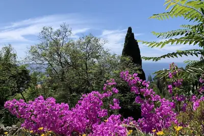 Image de apartment in 70´s building in the Olive Jungle 3km off the mediterranean