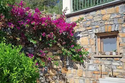 Image de Vacation house surrounded by olive trees with fantastic sea view!