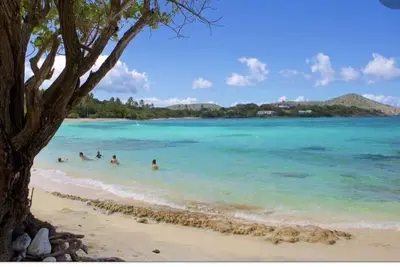 Image de Sapphire Beach; St Thomas Usvi; Sleep 4; Steps From Beach