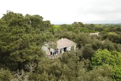 Image de Maison dans les arbres a 5 minutes de la plage