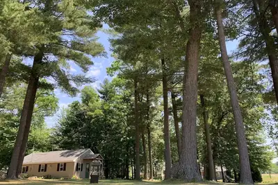 Image de Towering Pines! Charming 2 bedroom cottage near lakes in Wautoma