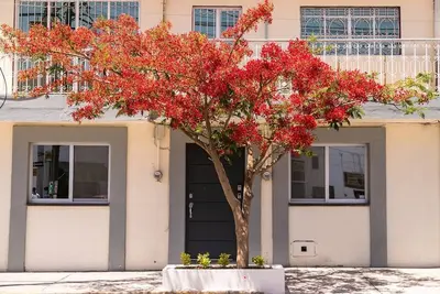 Image de \"C\" Céntrico Loft Privado - Alegría Housing -