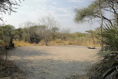 Image de Delightful campsite in nature between Maun & Moremi