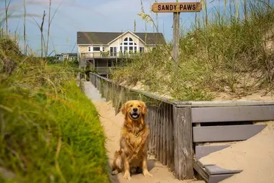 Image de Sandy Paws: Oceanfront w/dune walk. Free pool heat for open Spring weeks! 4x4