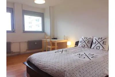 Image de Cozy 3 pièces Mulhouse centre meublé touristique