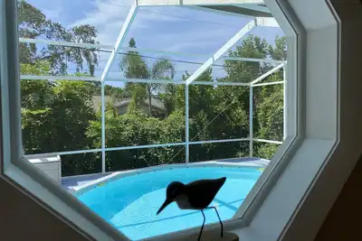 Image de Cozy Venice Home with Heated Pool near the Beach