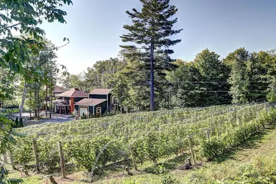 Image de Vignoble du Domaine des 3 Moulins à 20 min. de Qc