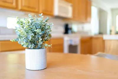 Image de Tranquility in Trilogy