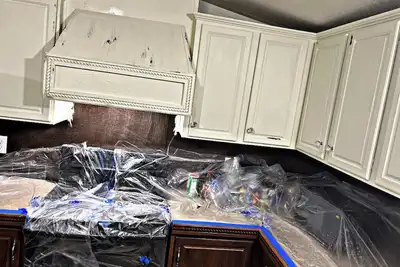 Image de Acklen’s Diamond in the Ruff