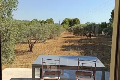Image de Maison T2 climatisée de 50m2 dans une oliveraie provencale