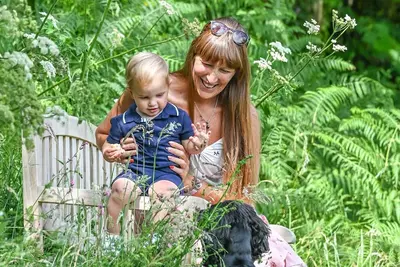 Image de Buzzard Treehouse -  a dittisham  that sleeps 5 guests  in 1 bedroom