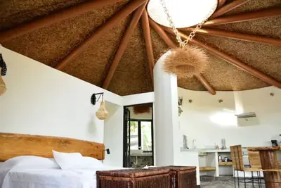 Image de Small Round House with Living Roof
